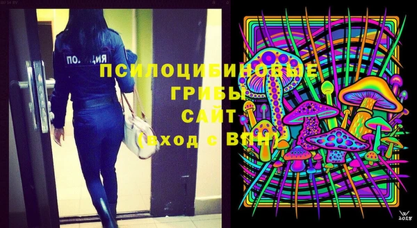 ПСИЛОЦИБИНОВЫЕ ГРИБЫ Абинск