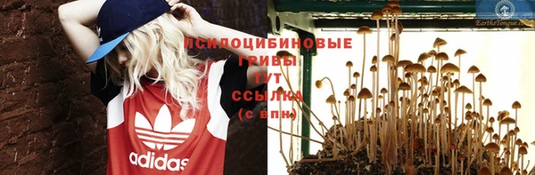 дурь Навашино