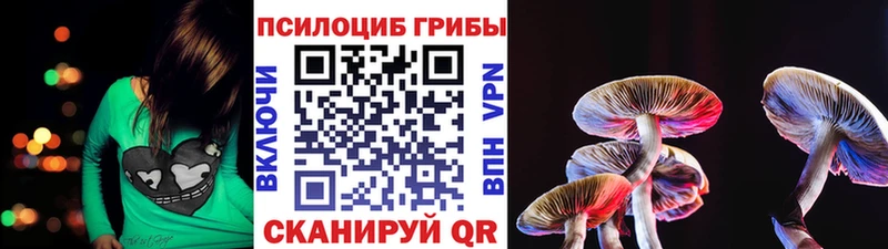 Псилоцибиновые грибы мухоморы  где можно купить наркотик  Мостовской 